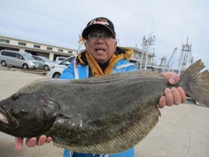 鬼澤丸の船上は魚と「笑い」に溢れてる？！名物船長と最高に面白くてしっかり釣れる釣行へGO！口コミも大紹介！｜FISHING JAPAN（フィッシングジャパン）