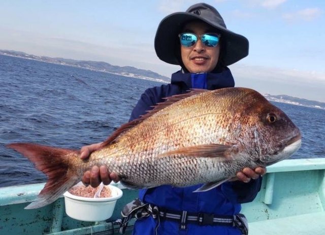あまさけや丸で剣崎沖の魚が全部釣れちゃう！優秀コスパ＆少人数での貸し切りOKで人気上昇が止まらない！｜FISHING JAPAN（フィッシングジャパン）