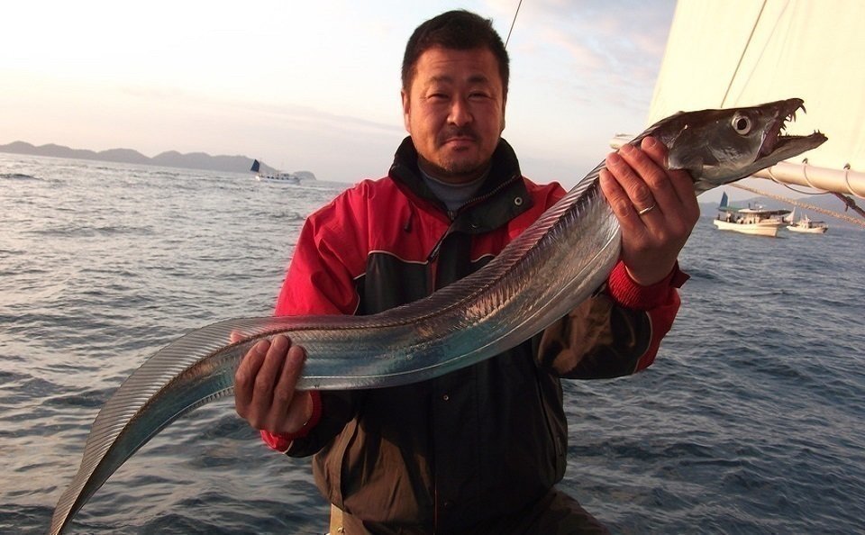 太刀魚が初心者でも釣れる！太刀魚釣りのコツ・仕掛けを大公開！｜FISHING JAPAN（フィッシングジャパン）