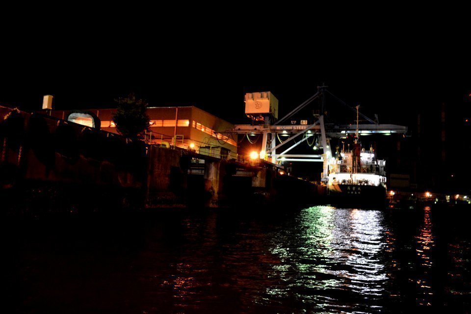 夜のサビキ釣りを100倍楽しむ！夜だから爆釣するノウハウを紹介！｜FISHING JAPAN（フィッシングジャパン）